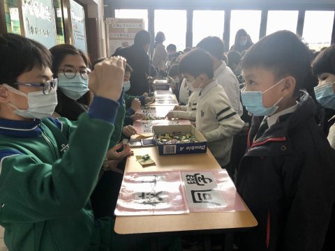 聾人文化及手語推廣週 - 2